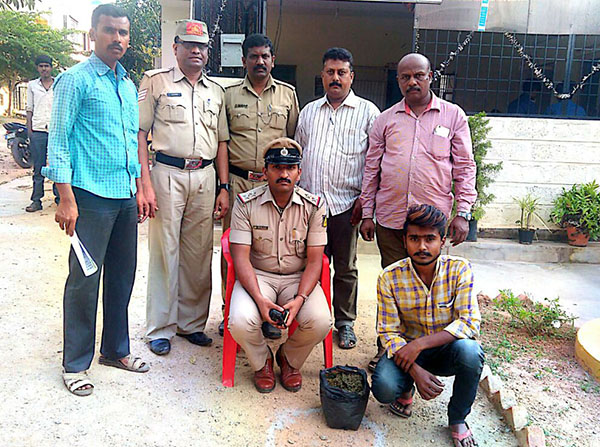 ಗಾಂಜಾ ಮಾರಾಟ ಮಾಡುತ್ತಿದ್ದವನ ಬಂಧನ